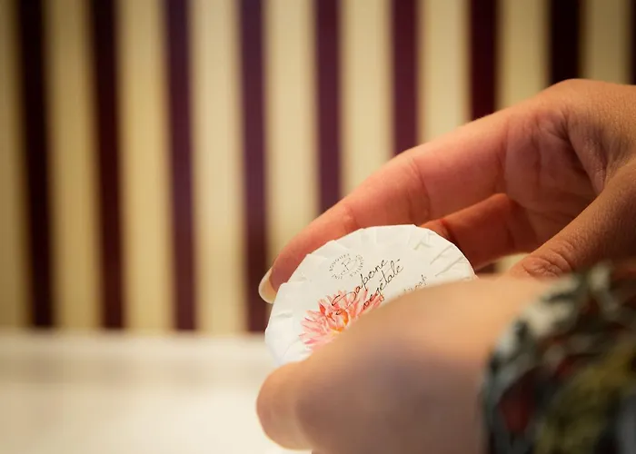 Petite Fleur Hotel 3*